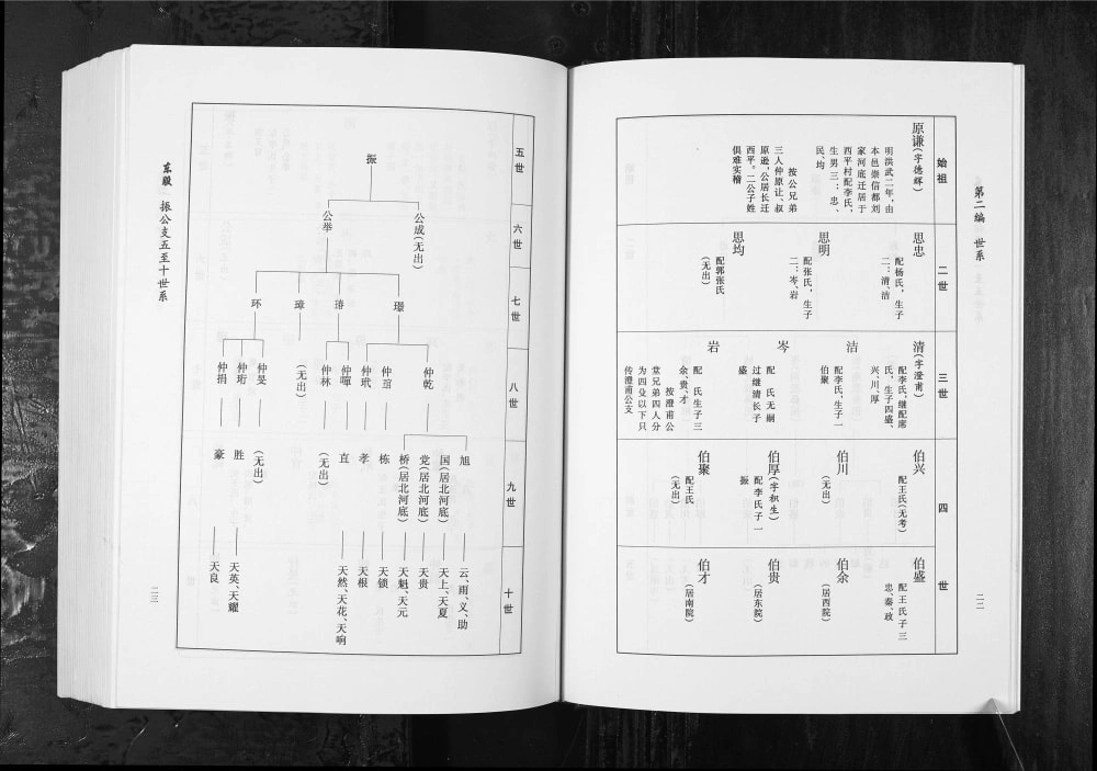 图片[7]-山西原平南白乡西平刘氏家谱电子版PDF下载-中华家谱网
