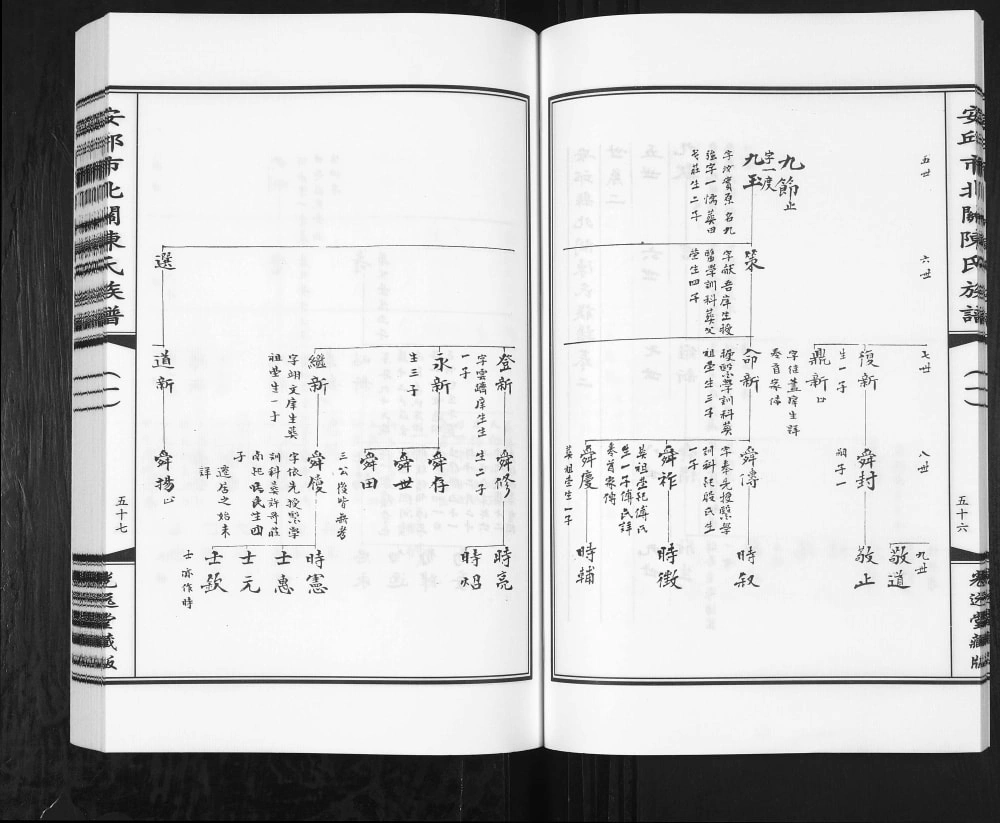 图片[7]-山东安丘市北关陈氏族谱（光远堂）电子版PDF下载-中华家谱网