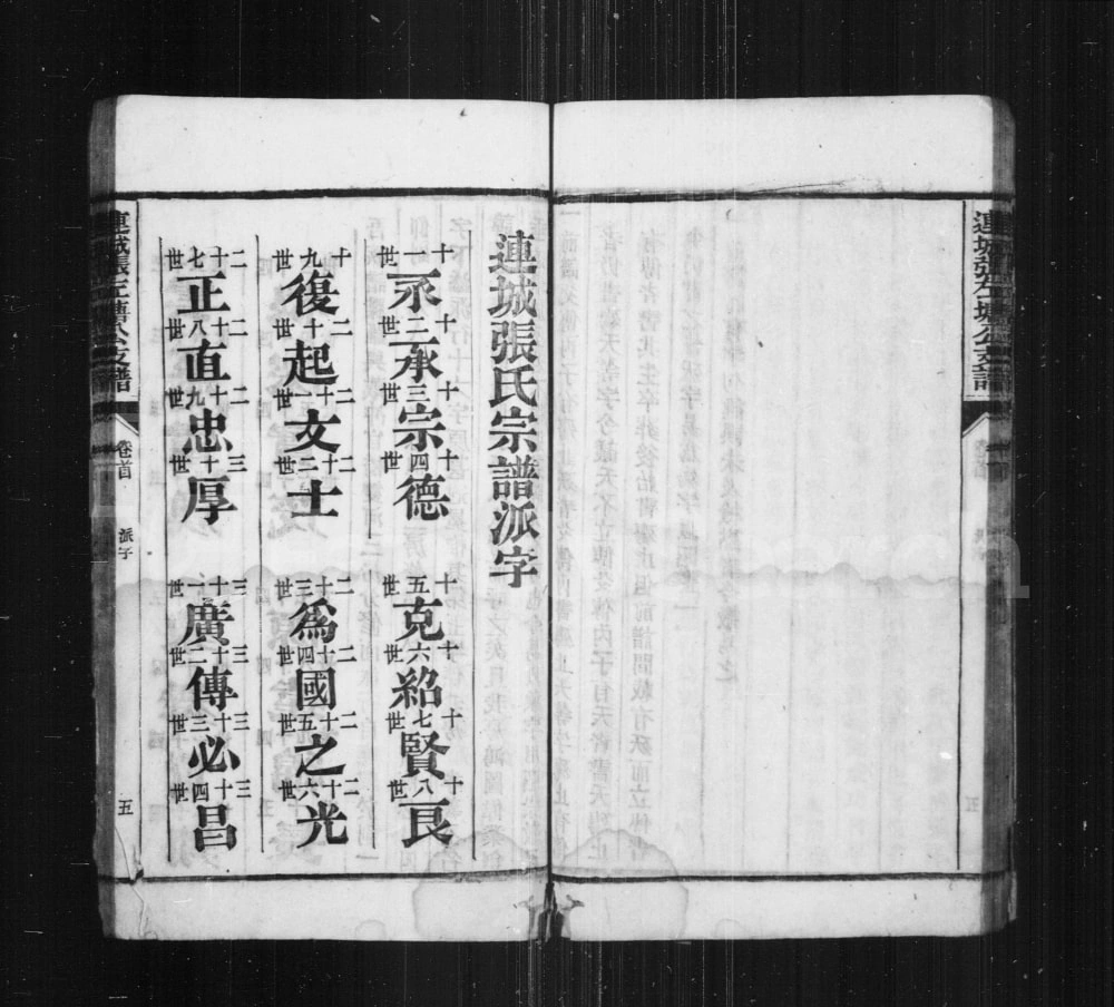 图片[3]-安徽铜陵枞阳连城张左塘公支谱电子版PDF下载-中华家谱网