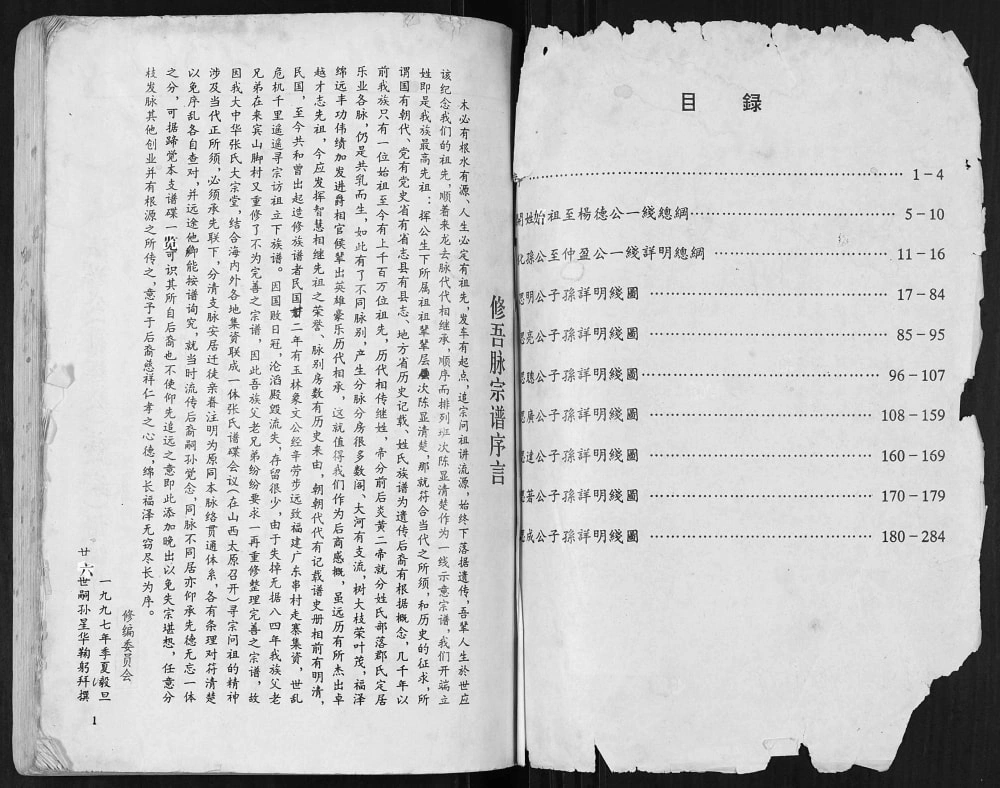 图片[1]-广西来宾武宣县张氏宗谱电子版PDF下载-中华家谱网