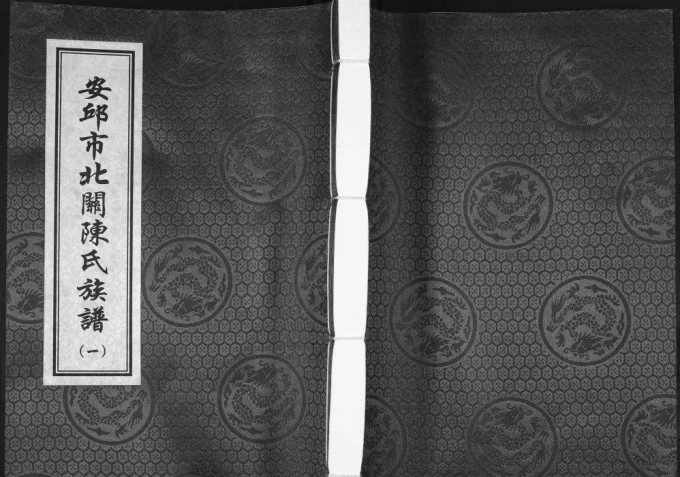 山东安丘市北关陈氏族谱（光远堂）电子版PDF下载-中华家谱网