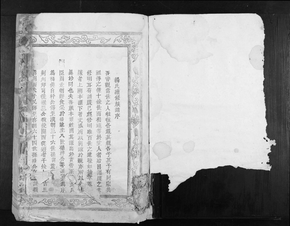 图片[1]-江西吉安吉水县宏农郡杨氏族谱（关西堂）电子版PDF下载-中华家谱网