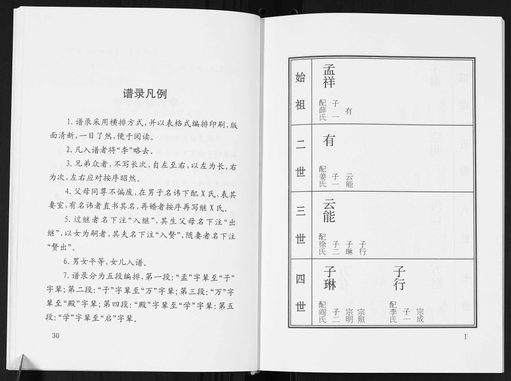 图片[6]-山东平度李氏族谱电子版PDF下载-中华家谱网