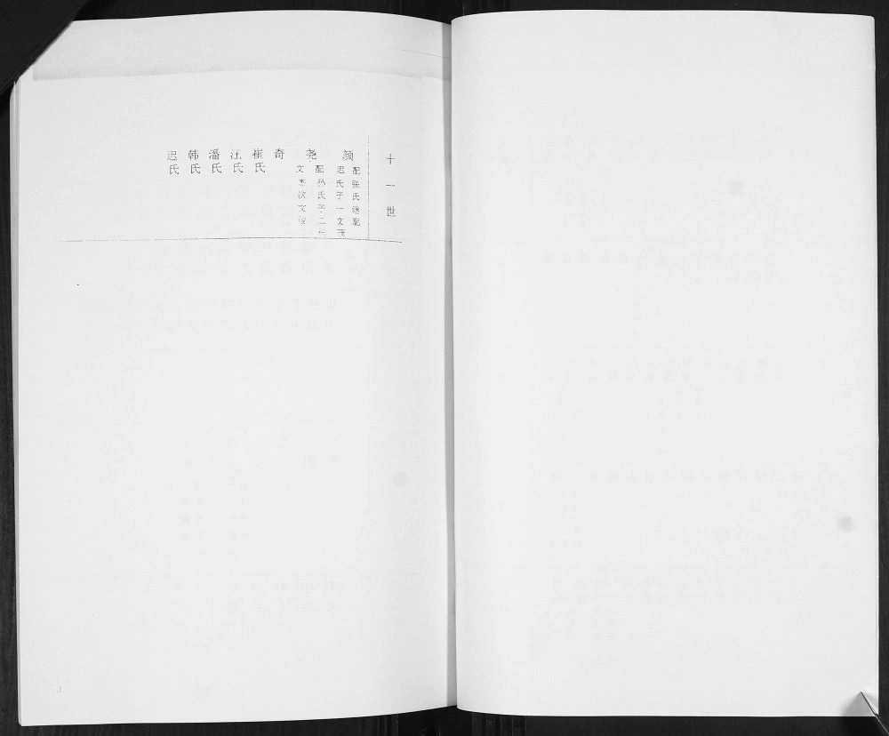 图片[6]-山东青岛即墨区丰城圈里王氏族谱电子版PDF下载-中华家谱网