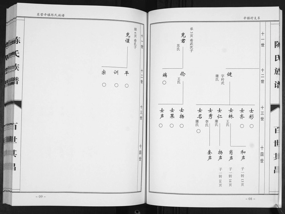 图片[8]-山东东营辛镇座地陈氏族谱电子版PDF下载-中华家谱网