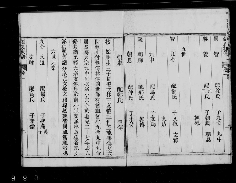 图片[5]-山东龙口张氏族谱电子版PDF下载-中华家谱网