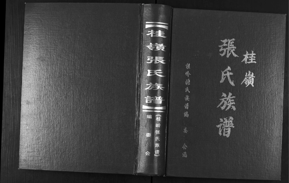 图片[1]-广东揭阳揭东区桂岭张氏族谱电子版PDF下载-中华家谱网