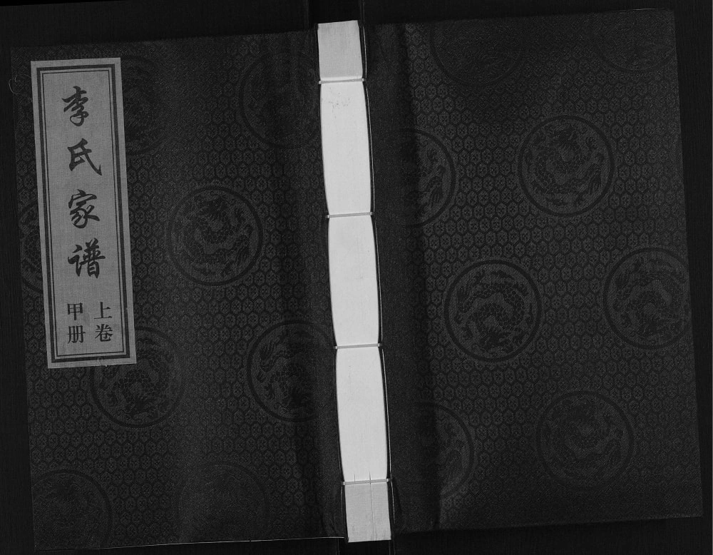 图片[1]-河北海兴黄骅李氏家谱电子版PDF下载-中华家谱网