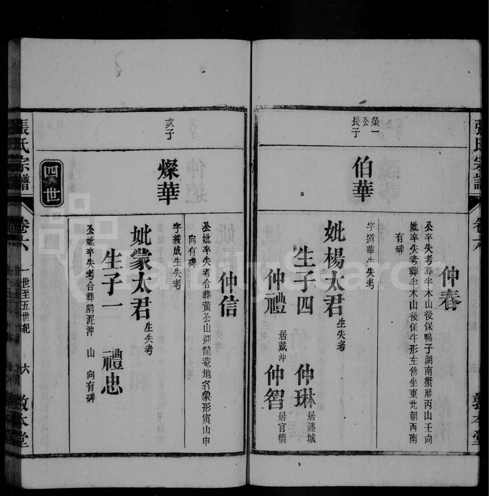 图片[7]-安徽桐城张氏宗谱（敦本堂）电子版PDF下载-中华家谱网