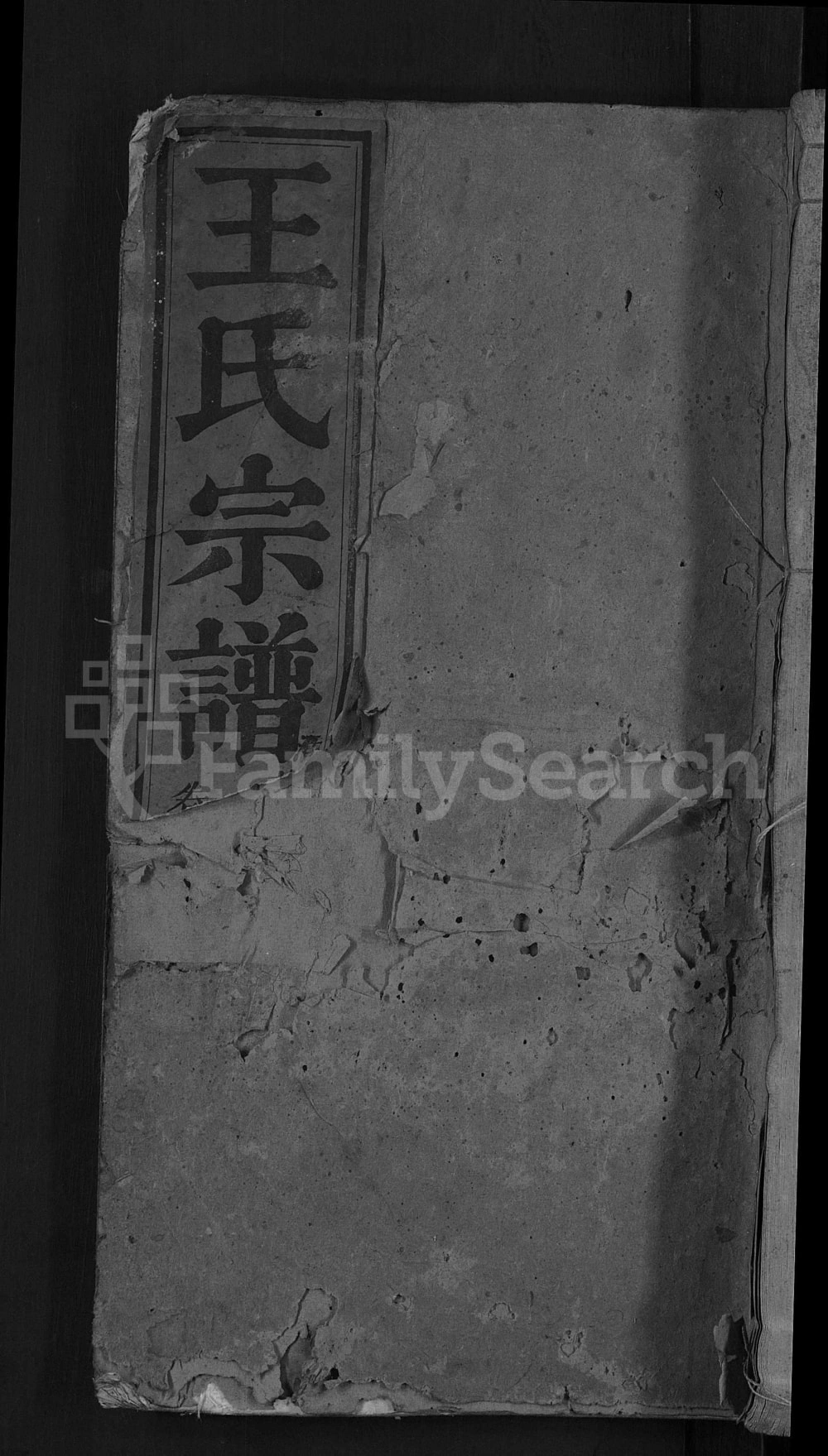 图片[1]-安徽安庆潜山王氏宗谱（槐荫堂）电子版PDF下载-中华家谱网