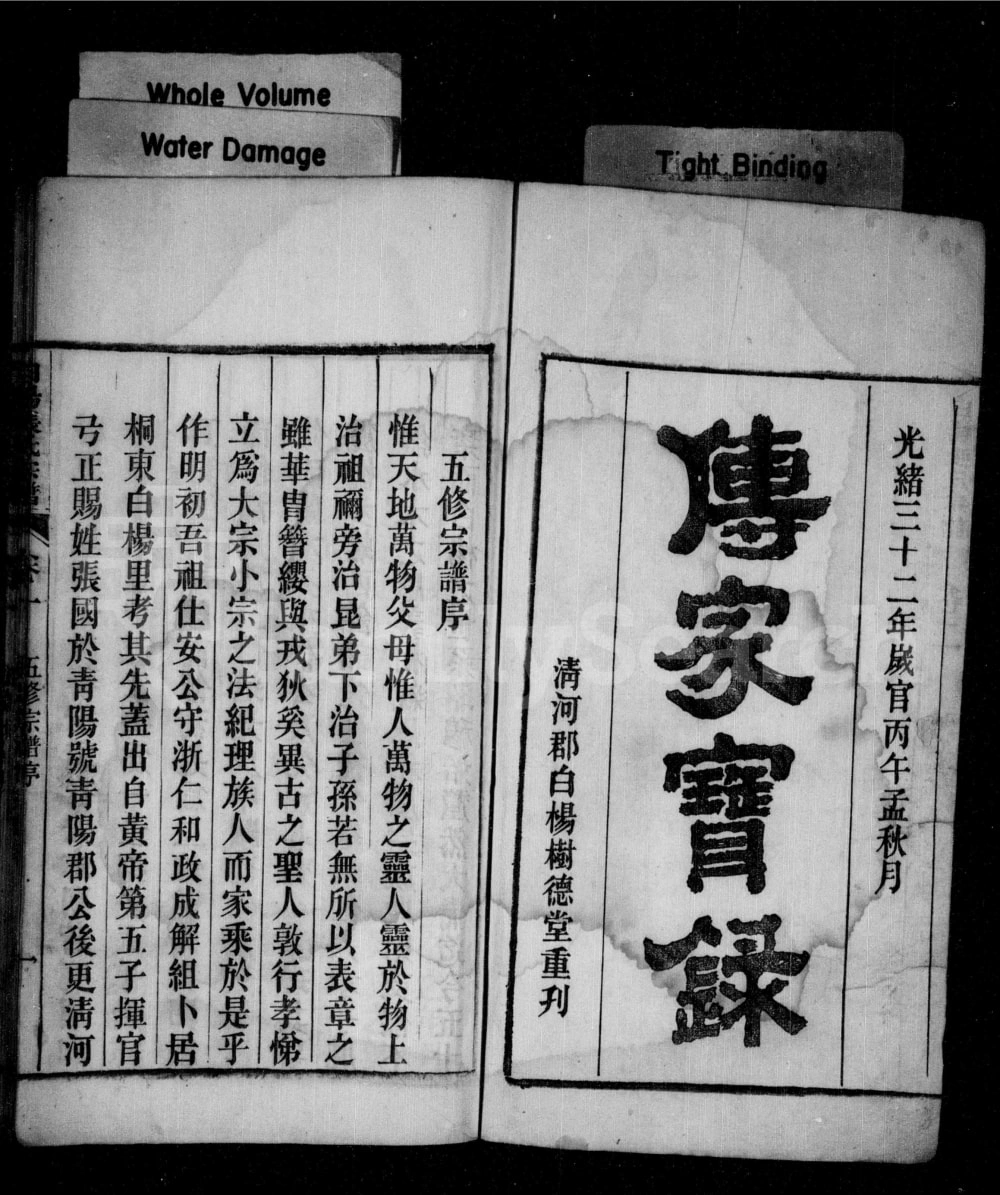 图片[2]-安徽桐城皖桐张氏宗谱（树德堂）电子版PDF下载-中华家谱网