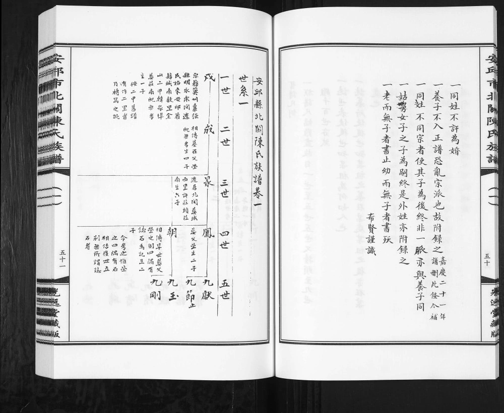 图片[4]-山东安丘市北关陈氏族谱（光远堂）电子版PDF下载-中华家谱网