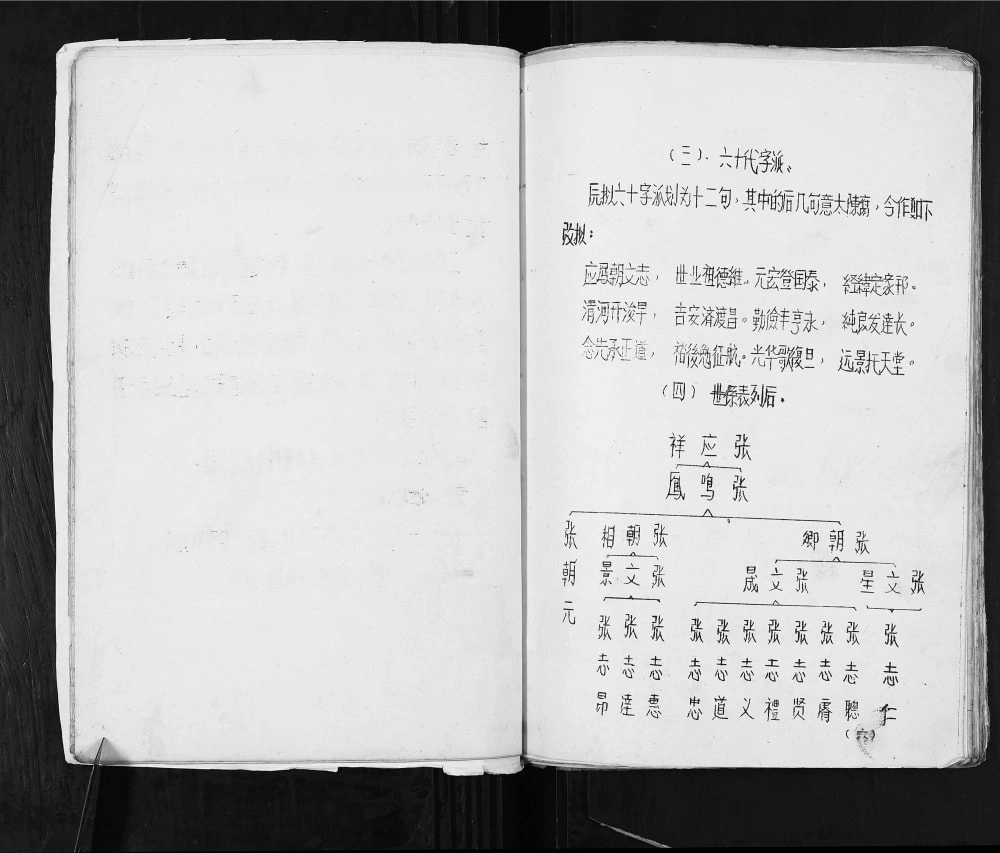 图片[7]-四川广安张氏家谱电子版PDF下载-中华家谱网