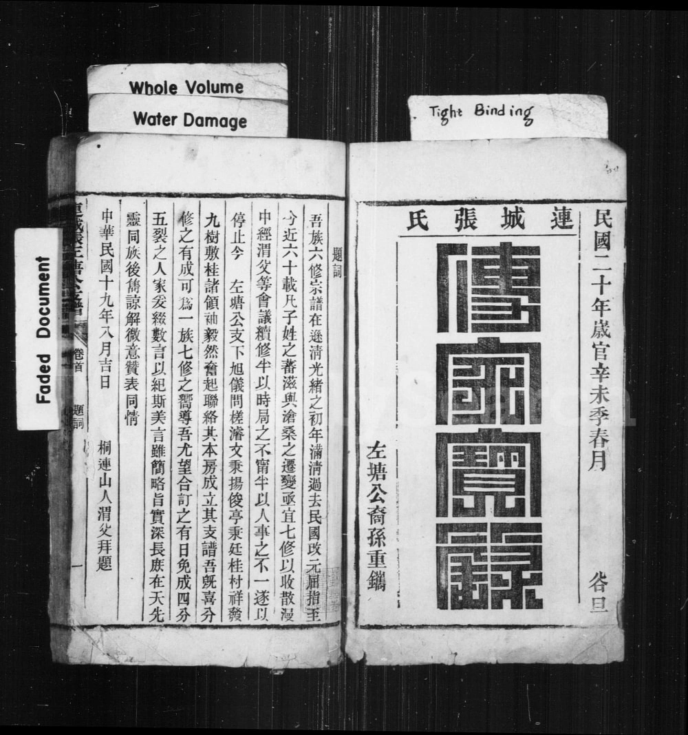 图片[2]-安徽铜陵枞阳连城张左塘公支谱电子版PDF下载-中华家谱网