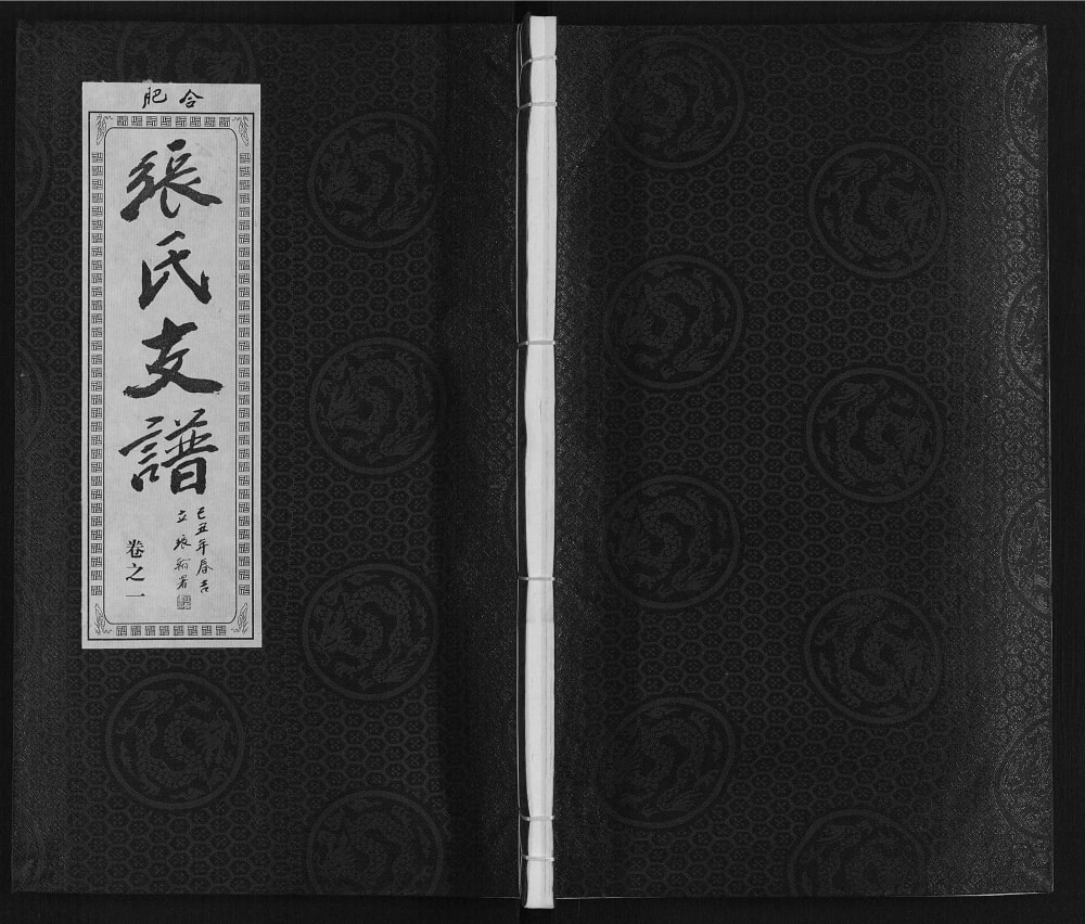 图片[1]-安徽肥东张氏“对河张”合肥支派宗谱（百忍堂）电子版PDF下载-中华家谱网