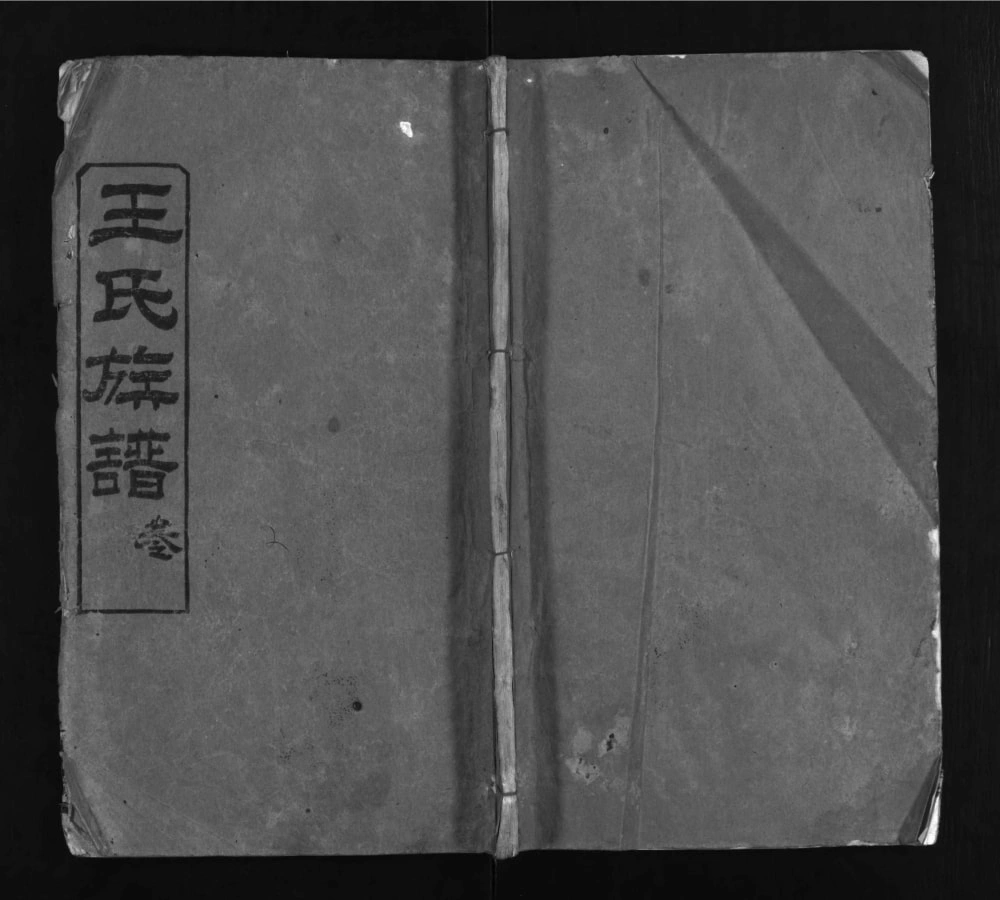图片[1]-湖北黄冈红安县王氏宗谱（三槐堂）电子版PDF下载-中华家谱网