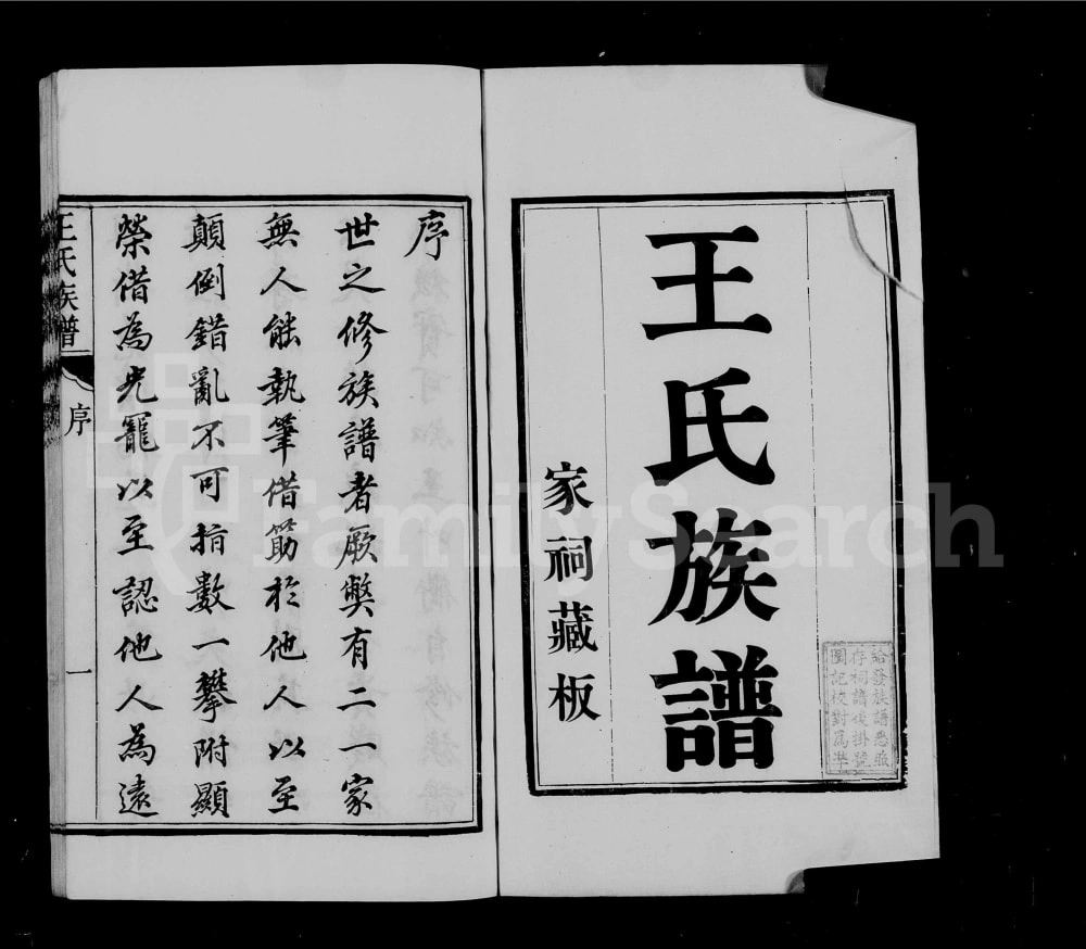 图片[1]-江苏南通海安王氏族谱电子版PDF下载-中华家谱网
