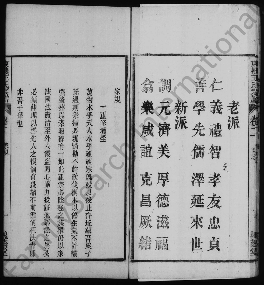 图片[3]-安徽桐城东楼王氏宗谱（槐荫堂）电子版PDF下载-中华家谱网