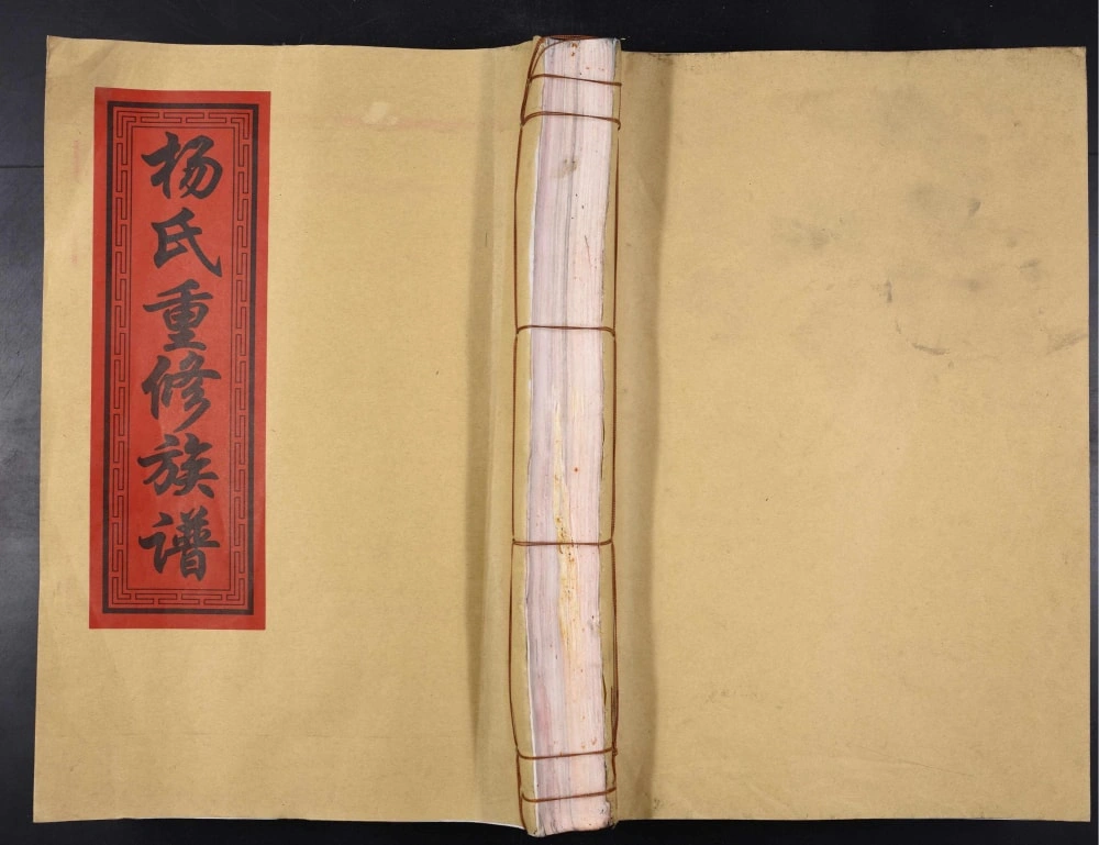 图片[1]-江西丰城杨氏重修族谱电子版PDF下载-中华家谱网