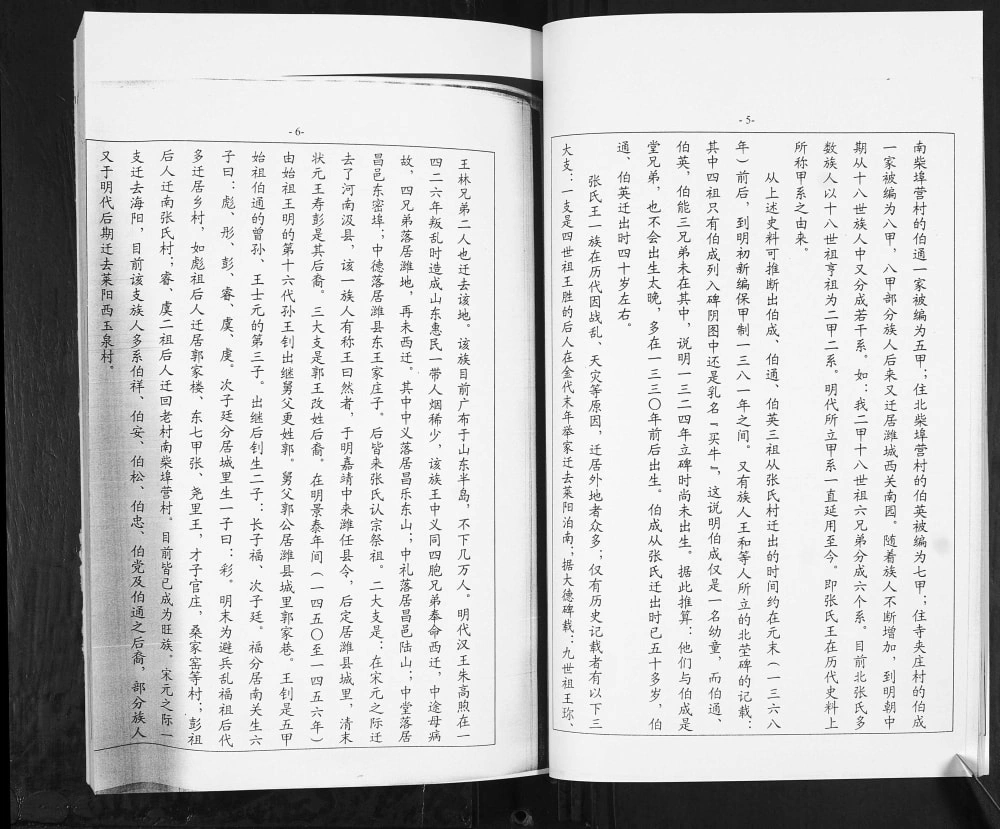 图片[6]-山东潍坊寒亭北海张氏村王氏族谱电子版PDF下载-中华家谱网