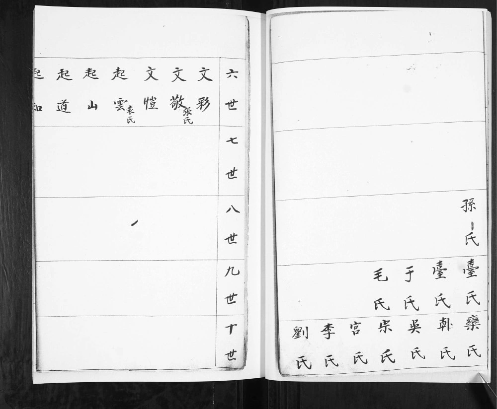 图片[6]-山东青岛即墨移风店堤前村王氏族谱电子版PDF下载-中华家谱网