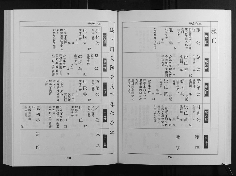 图片[6]-安徽淮南寿县甘棠李氏宗谱（陇西堂）电子版PDF下载-中华家谱网