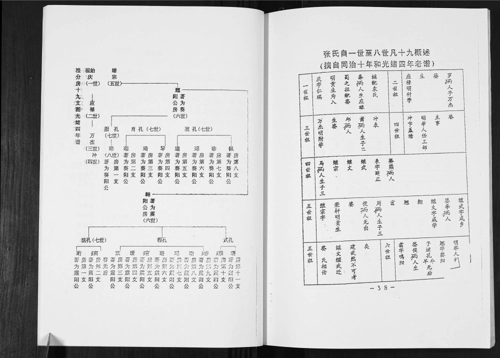 图片[6]-四川宜宾李庄张氏家谱（清河堂）电子版PDF下载-中华家谱网