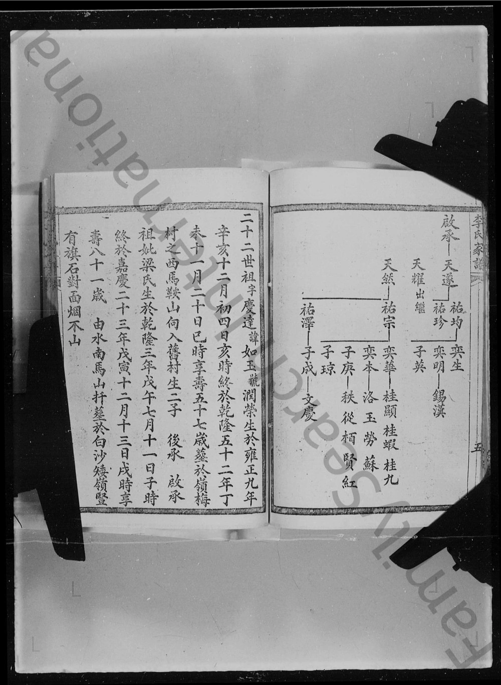 图片[6]-广东江门李氏家谱附岭南史事略电子版PDF下载-中华家谱网