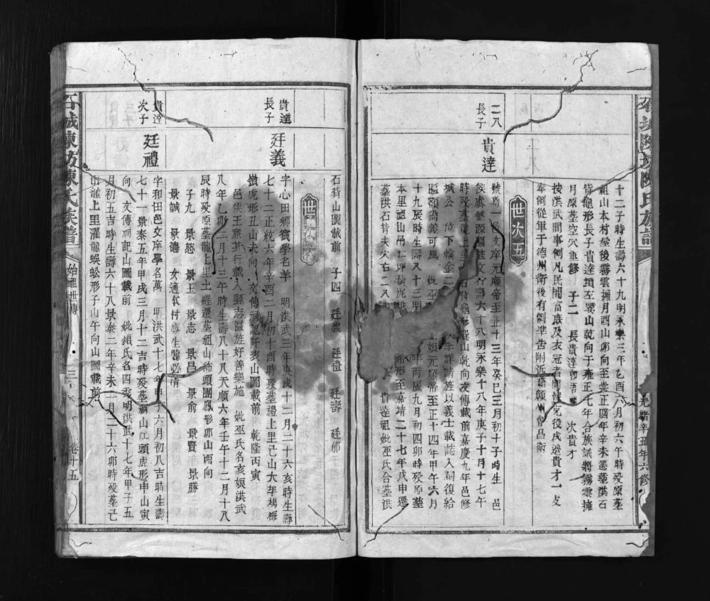 图片[6]-江西赣州石城陈坊陈氏族谱电子版PDF下载-中华家谱网
