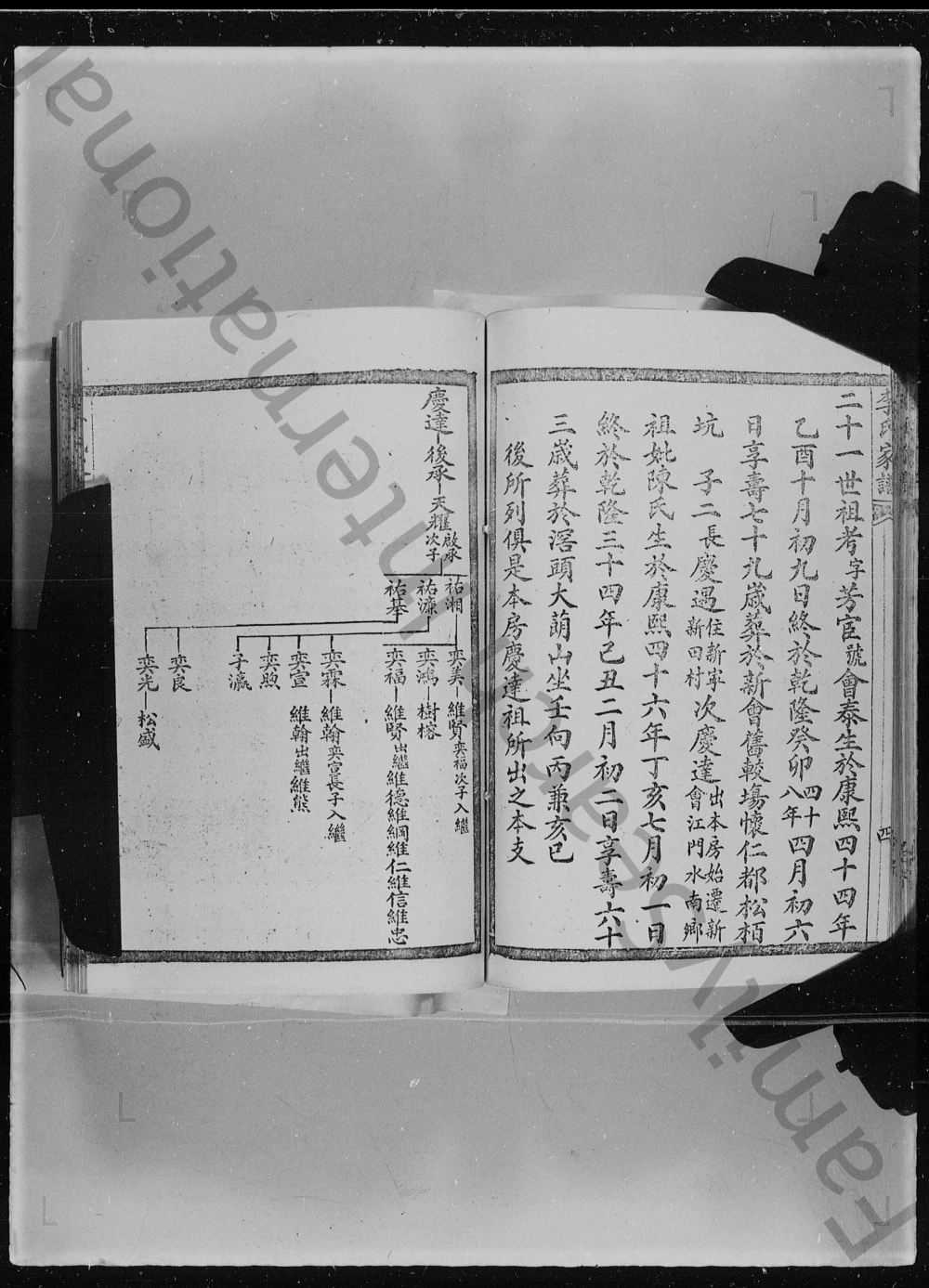 图片[5]-广东江门李氏家谱附岭南史事略电子版PDF下载-中华家谱网