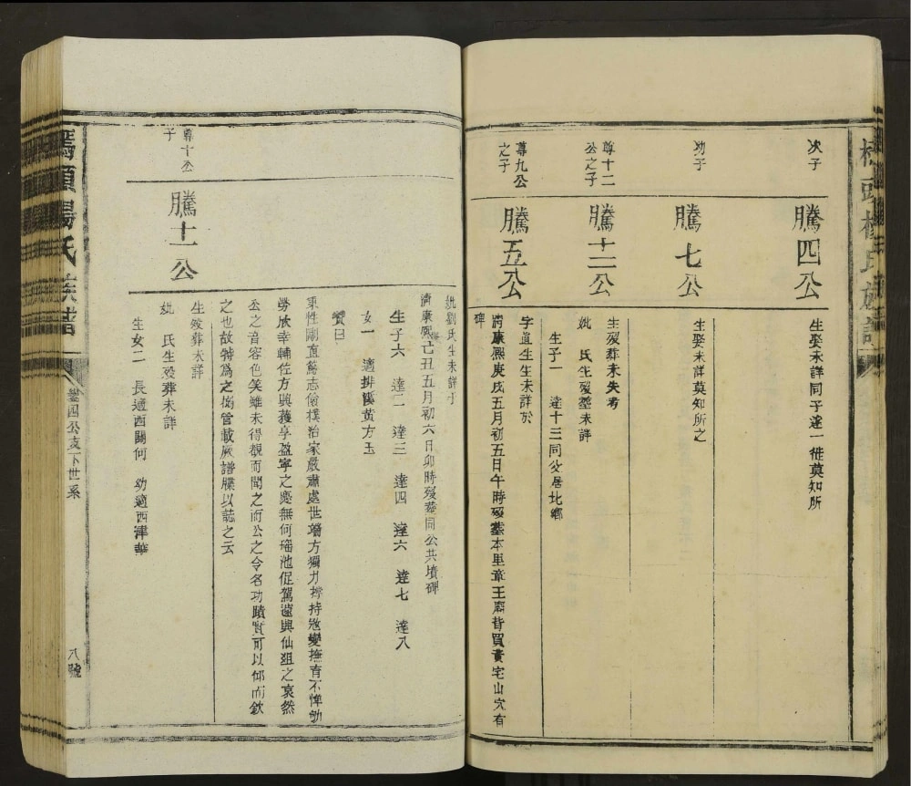 图片[5]-江西抚州东乡区桥头杨氏族谱电子版PDF下载-中华家谱网