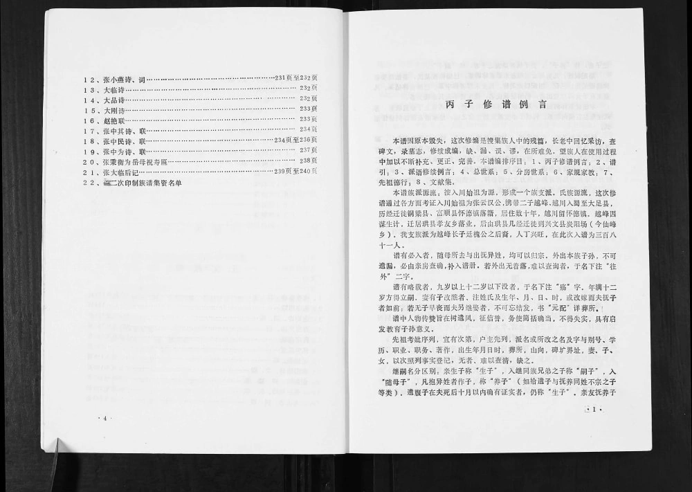 图片[2]-四川宜宾兴文县张氏族谱电子版PDF下载-中华家谱网