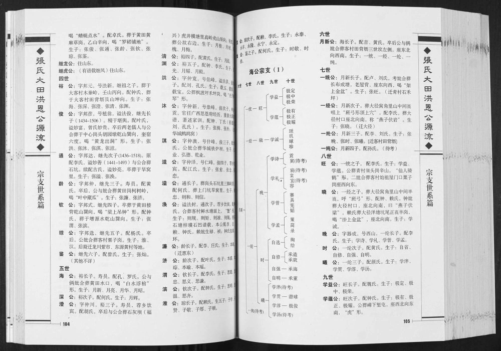 图片[6]-贵州毕节纳雍县张氏大田洪恩公源流电子版PDF下载-中华家谱网