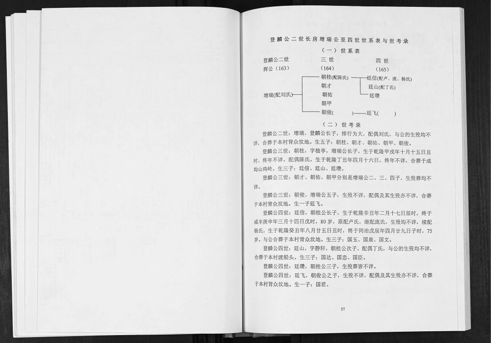 图片[6]-广西玉林张氏登麟公家谱电子版PDF下载-中华家谱网