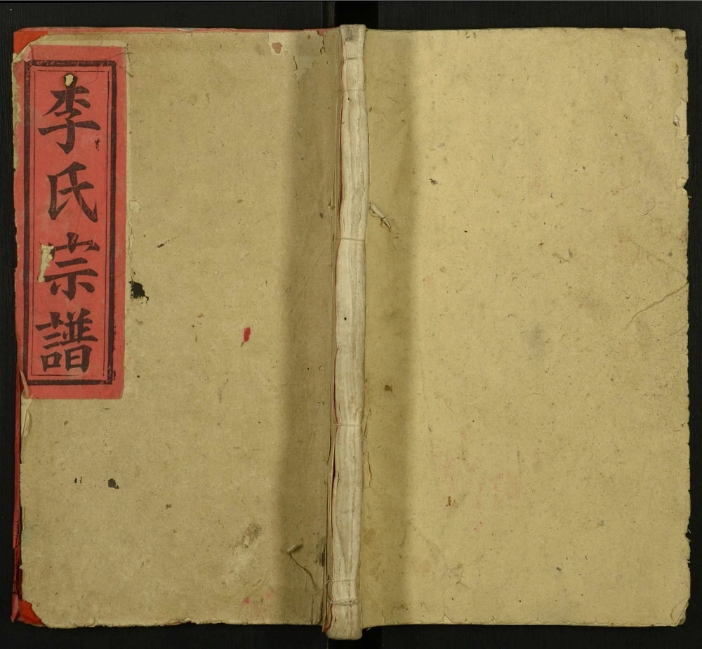 图片[1]-安徽安庆宿松李家湾李氏宗谱电子版PDF下载-中华家谱网