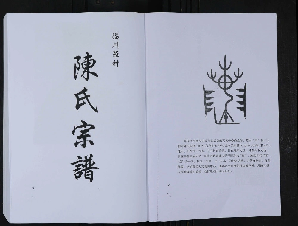 图片[1]-山东淄博淄川罗村陈氏宗谱电子版PDF下载-中华家谱网