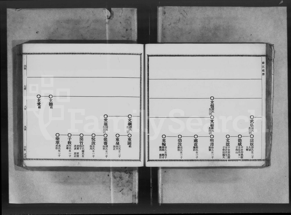 图片[7]-广东台山汶村陈氏恺翁十世孙复新祖房之家谱电子版PDF下载-中华家谱网