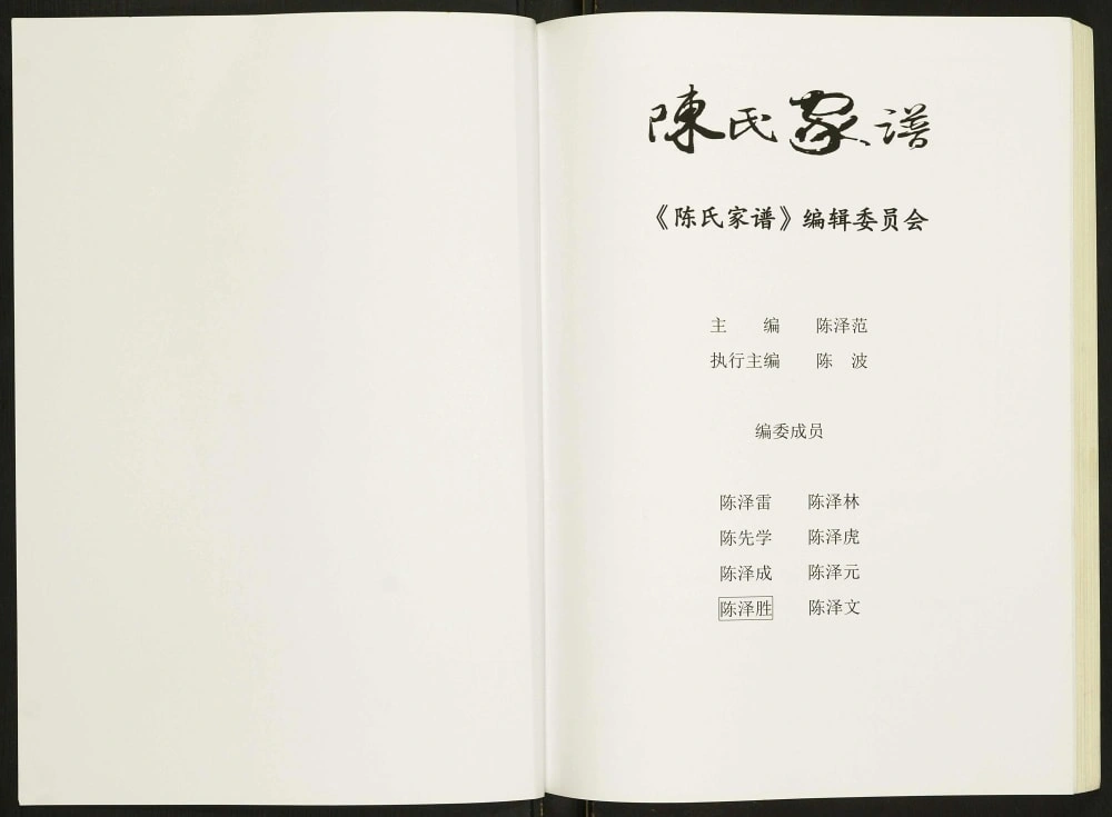 图片[3]-湖北十堰陈氏家谱电子版PDF下载-中华家谱网