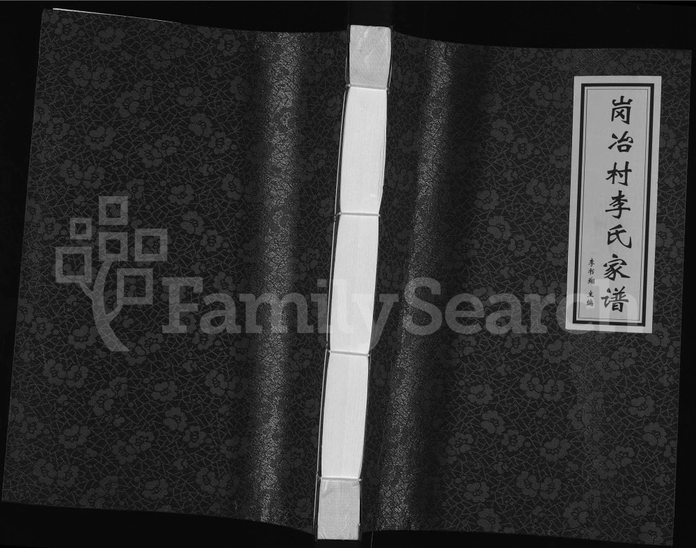 图片[1]-河北沙河市岗冶村李氏家谱电子版PDF下载-中华家谱网