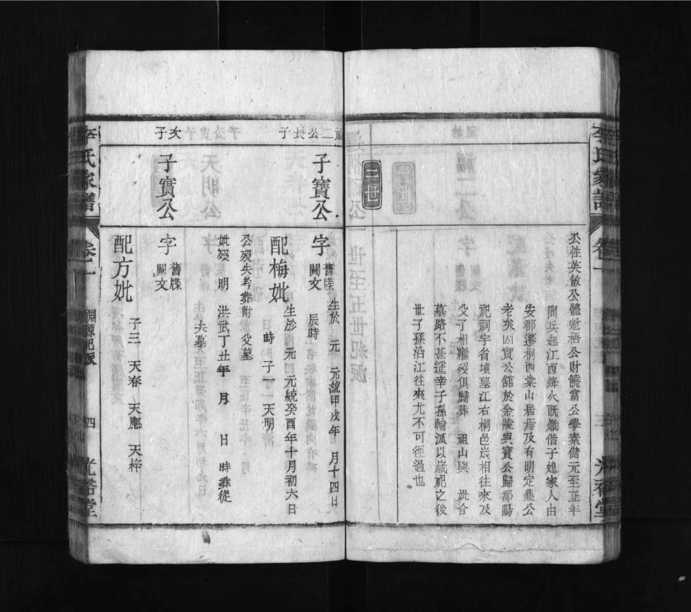 图片[8]-安徽桐城李氏家谱（光裕堂）电子版PDF下载-中华家谱网