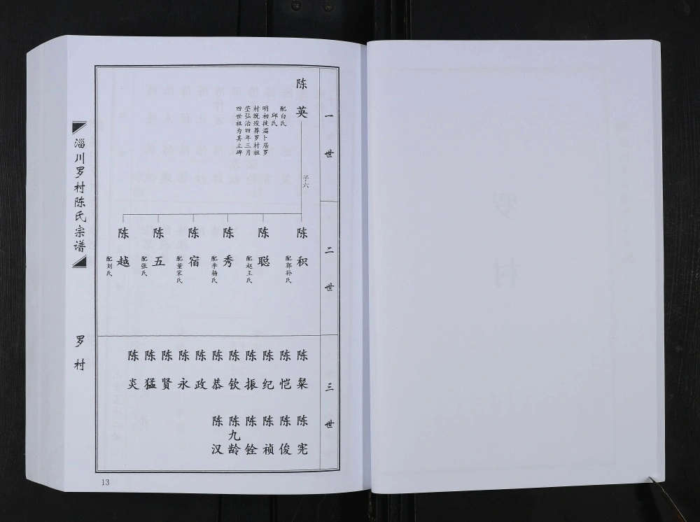 图片[4]-山东淄博淄川罗村陈氏宗谱电子版PDF下载-中华家谱网