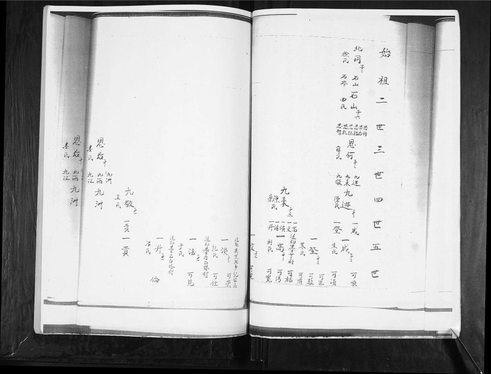 图片[5]-山东青岛张村蓝村后白塔王氏族谱电子版PDF下载-中华家谱网