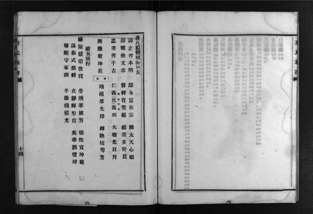 图片[4]-四川德阳罗江区唐氏族谱电子版PDF下载-中华家谱网