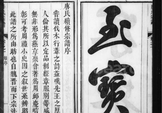 安徽池州石台县唐氏宗谱电子版PDF下载-中华家谱网
