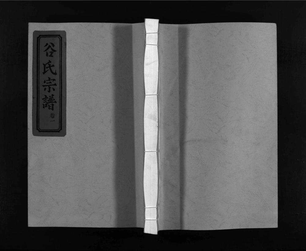 图片[1]-浙江乐清东馆谷氏宗谱电子版PDF下载-中华家谱网
