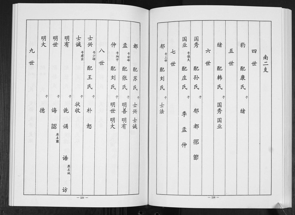 图片[8]-山东淄博淄川区李氏族谱电子版PDF下载-中华家谱网