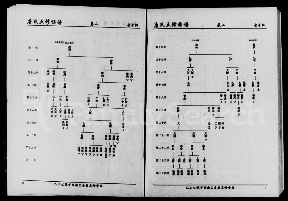 图片[4]-湖南永州东安县唐氏五修族谱电子版PDF下载-中华家谱网