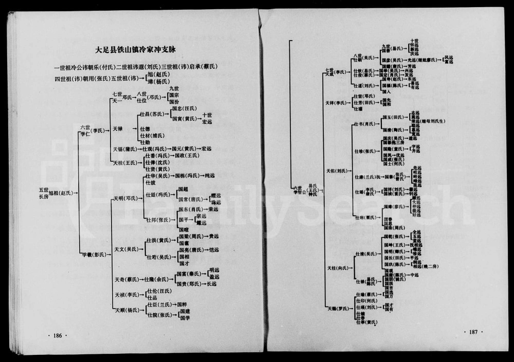 图片[8]-四川资阳安岳冷氏族谱电子版PDF下载-中华家谱网