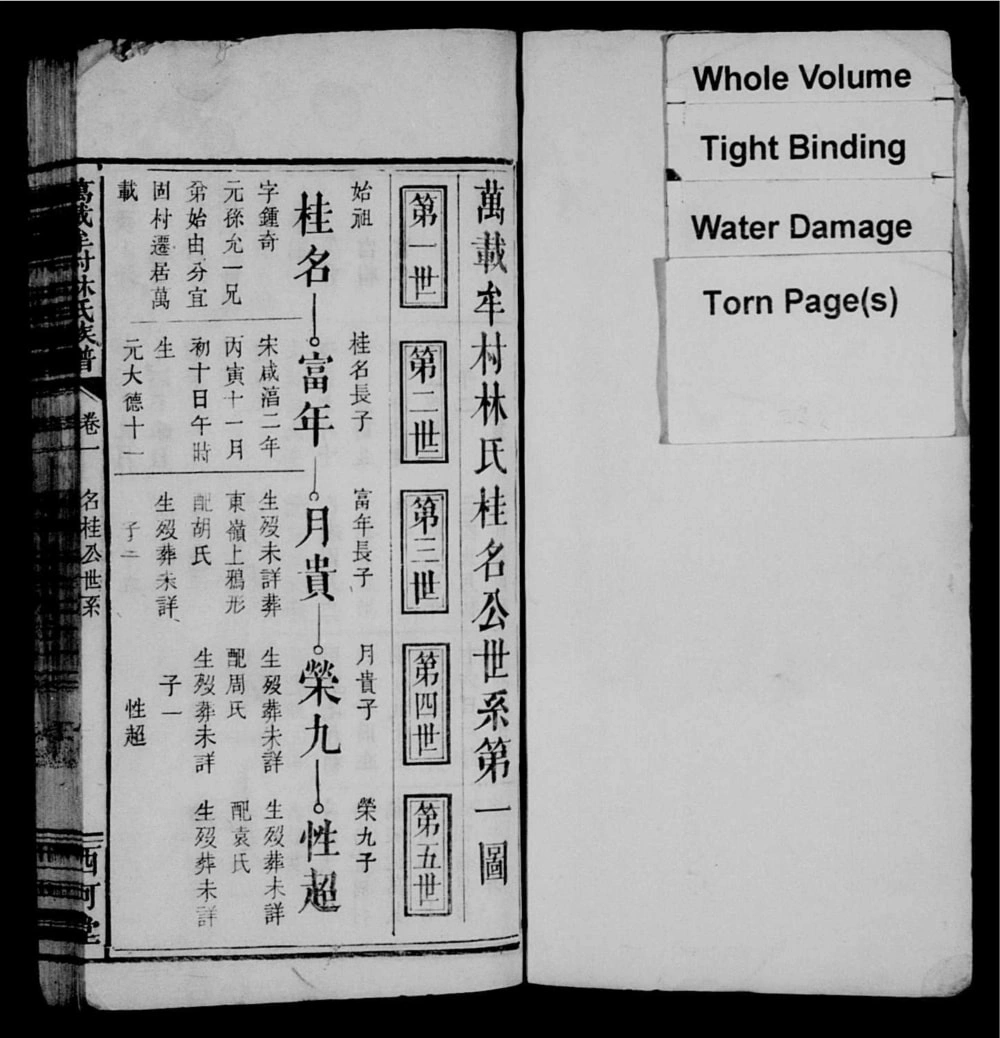图片[5]-江西宜春万载牟村林氏族谱（西河堂）电子版PDF下载-中华家谱网