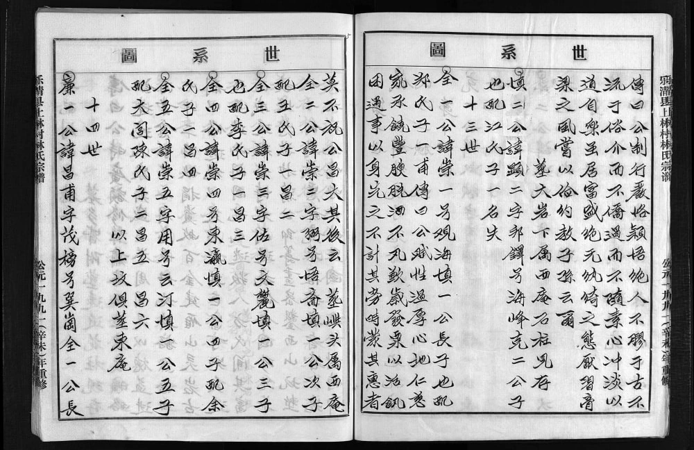 图片[8]-浙江乐清上林村林氏宗谱电子版PDF下载-中华家谱网